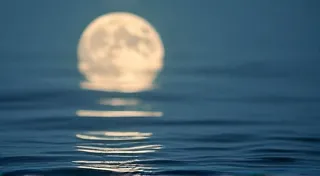 The Resonance of Precision: Finding Flow Through Analog Calculation